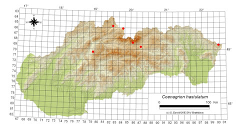 Coenagrion hastulatum - výskyt na Slovensku