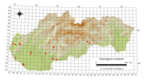 Coenagrion ornatum - výskyt na Slovensku