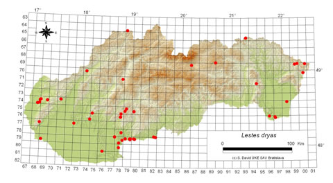Lestes dryas - výskyt na Slovensku