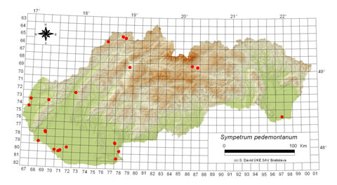 Sympetrum pedemontanum - výskyt na Slovensku